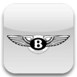 Auto usate Bentley