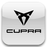 Auto usate Cupra