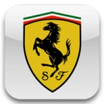 Auto usate Ferrari