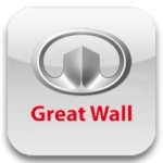 Auto usate Great Wall