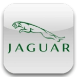 Auto usate Jaguar