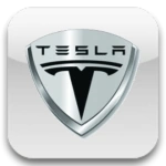 Auto usate Tesla