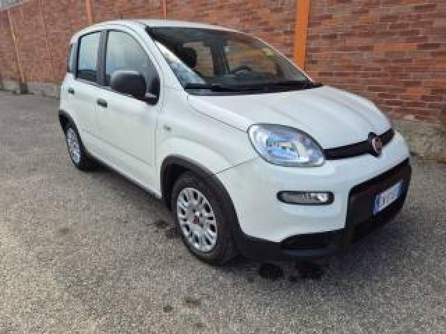 Fiat Panda 1.0 Firefly S&s Hybrid 5 Posti 