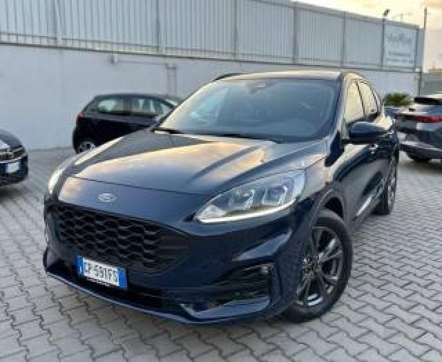 Ford Kuga 2.0 Ecoblue 120 Cv Aut. St-Line 