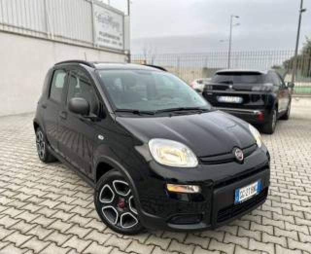 Fiat Panda 1.0 Hybrid City Life Carplay 