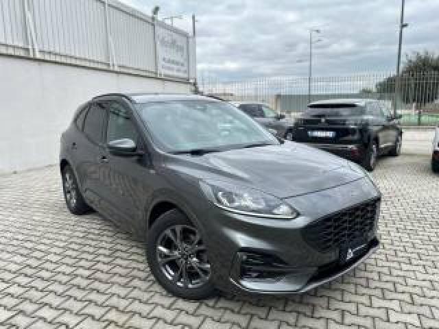 Ford Kuga 1.5 Ecoblue 120 Cv St-Line 