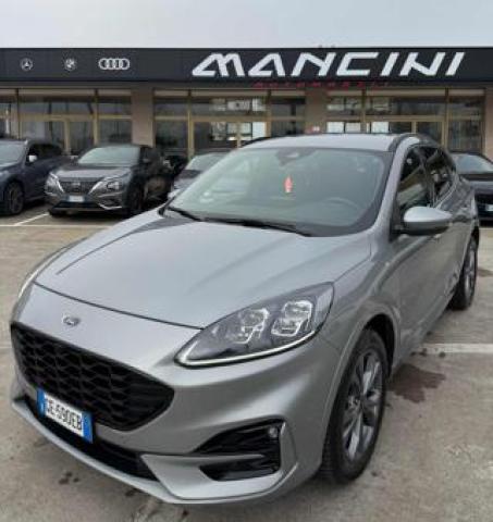 Ford Kuga 2.0 Ecoblue Hybrid 150 Cv 2wd St-Line X 