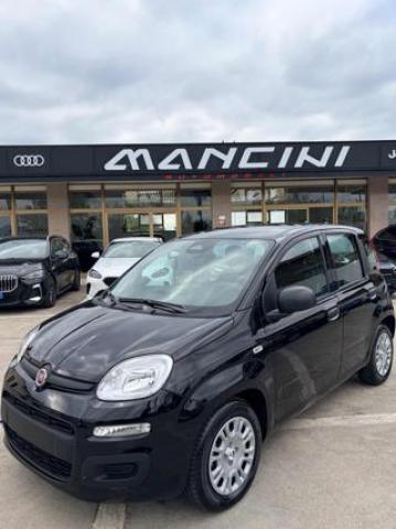 Fiat Panda 1.0 Firefly S&s Hybrid Pandina 
