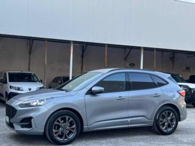 Ford Kuga 1.5 Ecoblue 120 Cv Aut. 2wd St-Line X 