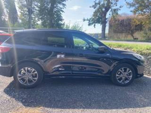 Ford Kuga 1.5 Ecoboost 150 Cv 2wd St-Line 