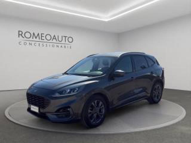 Ford Kuga 2.0 Ecoblue 120 Cv Aut. 2wd St-Line 