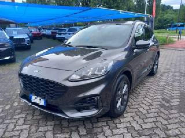 Ford Kuga 2.0 Ecoblue 120 Cv Aut. 2wd St-Line 