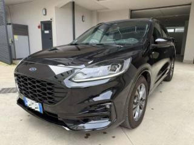 Ford Kuga 2.0 Ecoblue 120 Cv Aut. 2wd St-Line 
