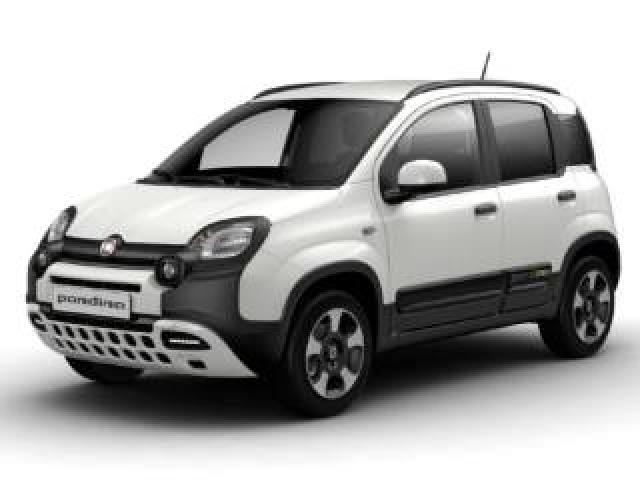 Fiat Panda 1.0 Firefly S&s Hybrid Pandina 