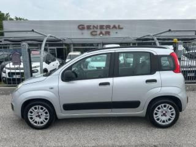 Fiat Panda 1.2 69cv Easy  