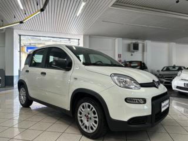 Fiat Panda Prezzo Reale 1.0 Firefly S&s Hybrid - Iva Esposta 
