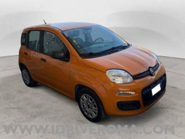 Fiat Panda Panda 1.2 Easy S&s 69cv My19 
