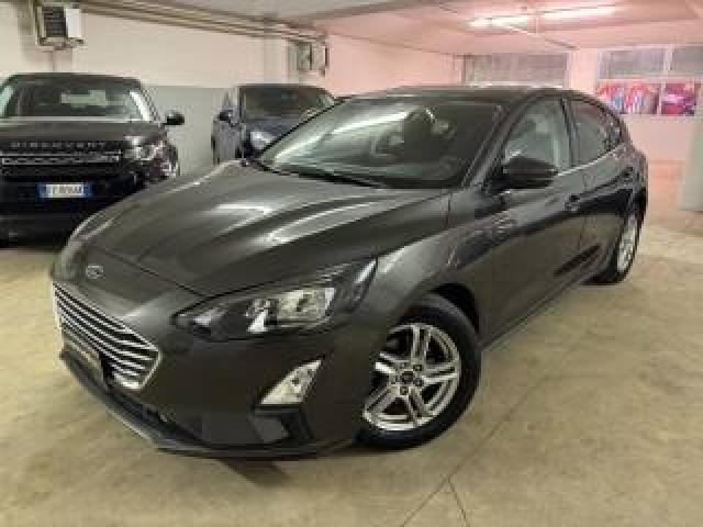 Ford Focus 1.0 Ecoboost 125 Cv 5p Business 