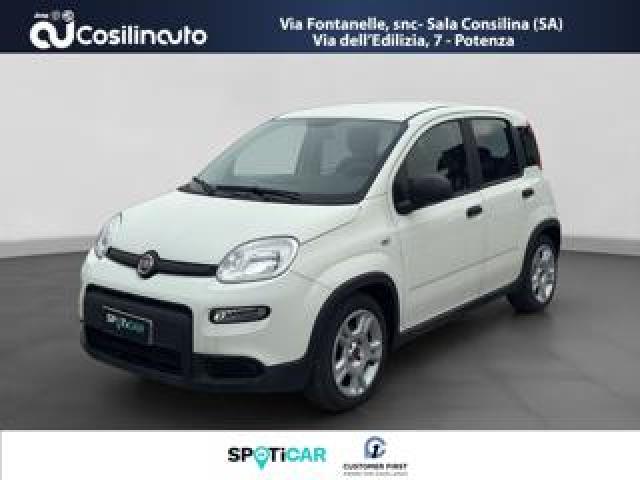Fiat Panda 1.0 Firefly S&s Hybrid City Life My24 