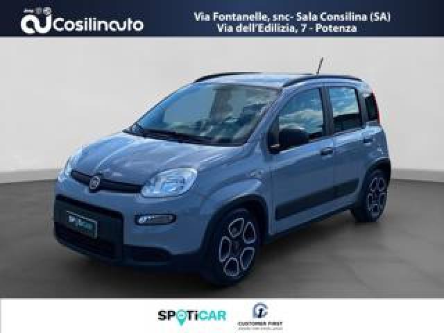 Fiat Panda 1.0 Firefly 69cv S&s Hybrid City Life 