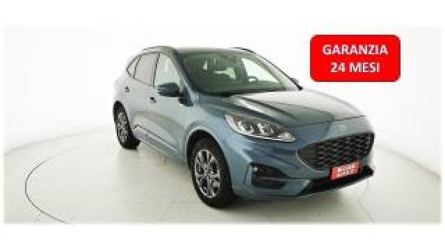 Ford Kuga 2.5 Plugin Hybrid 225cv Cvt St-Line -Gancio Traino 