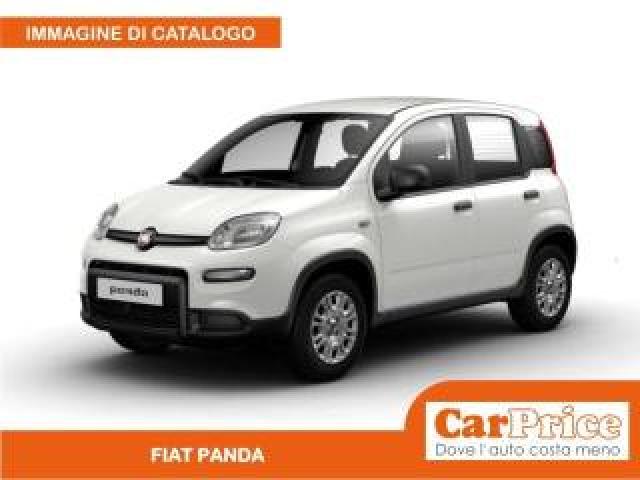 Fiat Panda 1.0 Firefly 70cv Hybrid Panda 