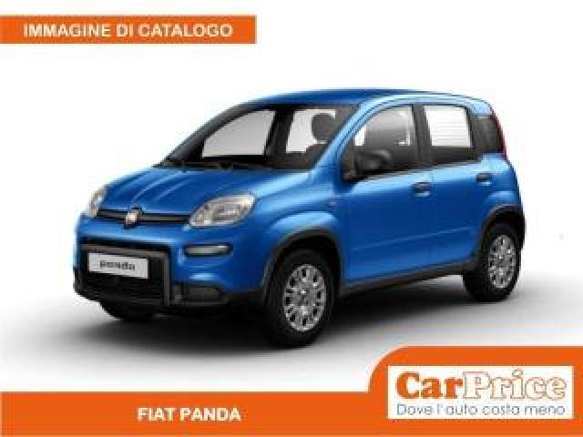 Fiat Panda 1.0 Firefly 70cv Hybrid Panda 