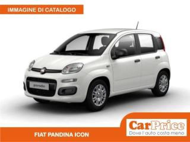 Fiat Pandina 1.0 Firefly 65cv Hybrid Icon 