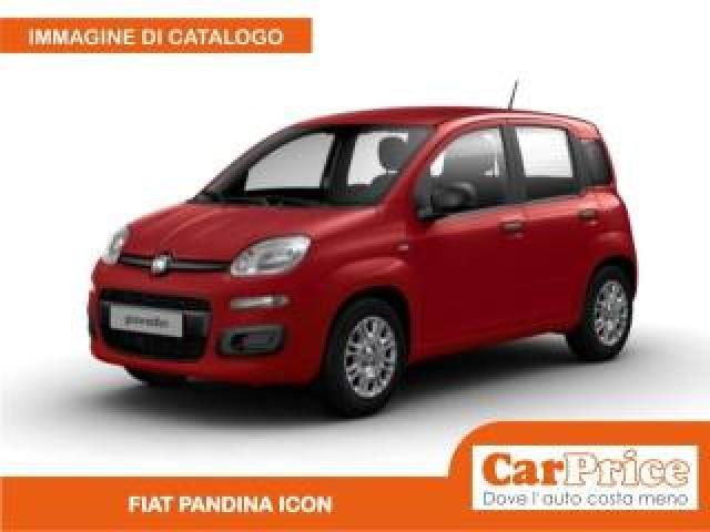 Fiat Pandina 1.0 Firefly 65cv Hybrid Icon 