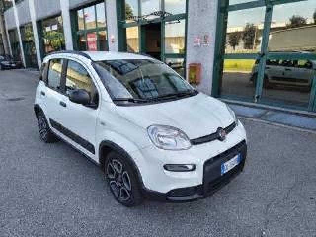 Fiat Panda 1.0 Firefly S&s Hybrid City Life Neopatentati 