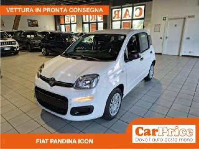 Fiat Pandina 1.0 Firefly 65cv Hybrid Icon 