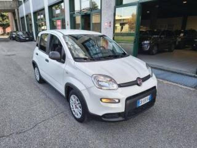 Fiat Panda 1.0 Hybrid City Life Neopatentati 