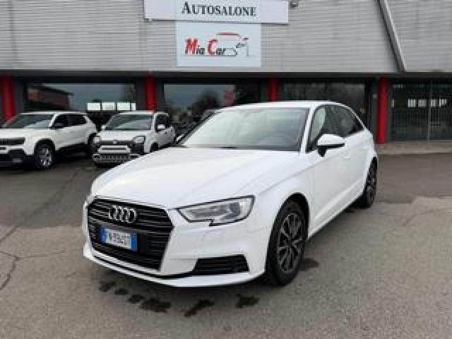 Audi A3 Spb 1.6 Tdi 116 Cv Business 