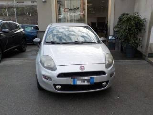Fiat Punto 1.4 Easypower Gpl 77cv Young 