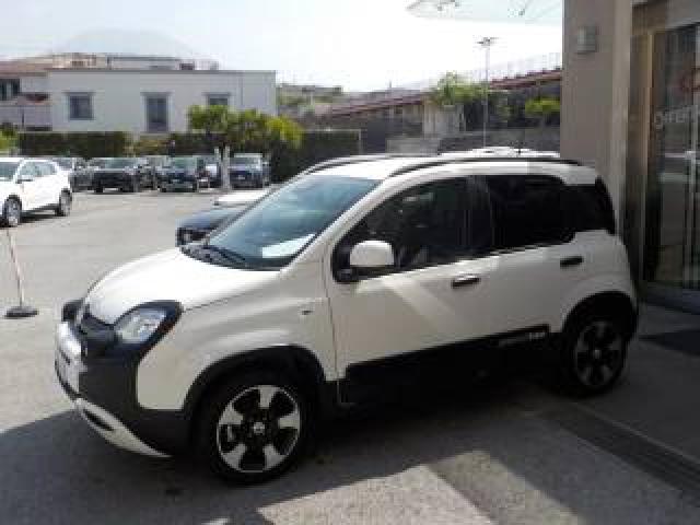 Fiat Pandina My25 - 1.0 Firefly Hybrid Pandina 