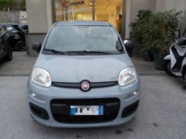 Fiat Panda 1.3 Mjt 95 Cv S&s Easy 
