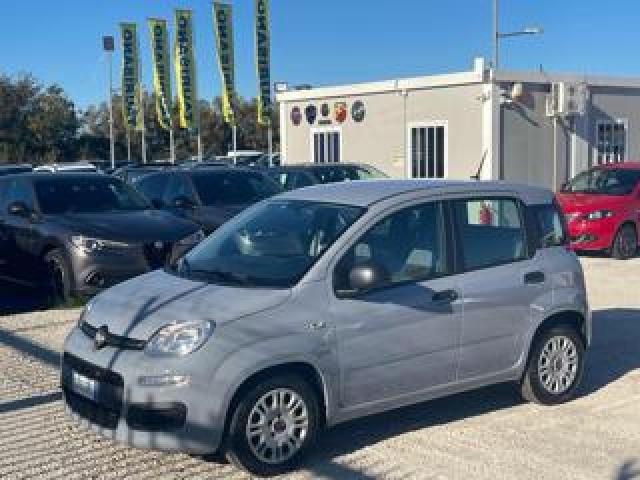 Fiat Panda 1.0 Firefly S&s Hybrid 6 Marce Prezzo Vero 