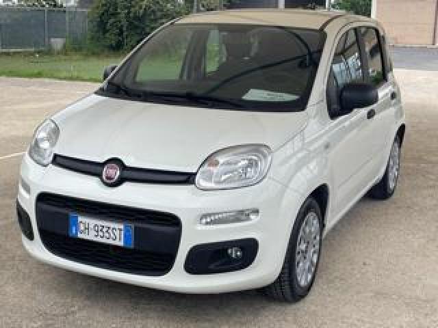 Fiat Panda 1.0 Firefly S&s Hybrid Euro 6d 6 Marce 