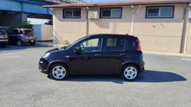 Fiat Panda 1.0 Firefly S&s Hybrid City Life 6 Marce 
