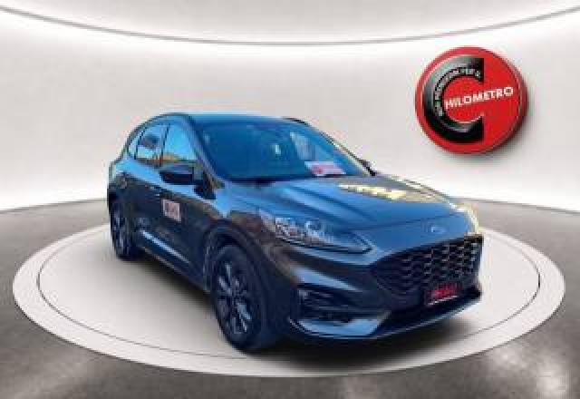 Ford Kuga 1.5 Ecoblue 120 Cv 2wd St-Line  