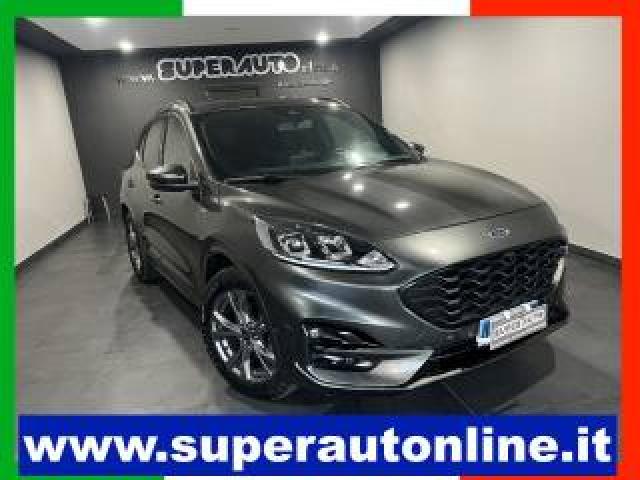 Ford Kuga 1.5 Ecoblue 120 Cv Aut. 2wd St-Line 