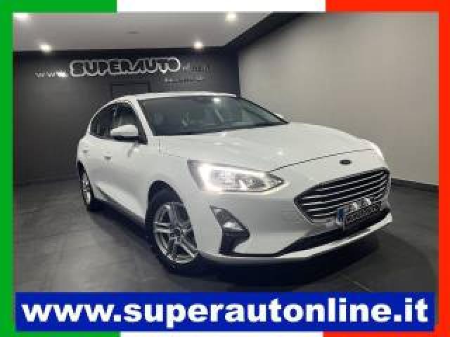 Ford Focus 1.5 Ecoblue 120 Cv 5p. Business 