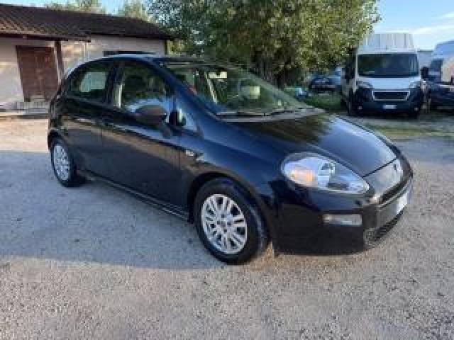 Fiat Punto 1.3 Mjt Ii S&s 85 Cv Per Neopatentati 