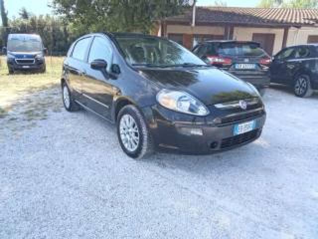 Fiat Punto Evo 1.3 Mjt 75 Cv 5 Porte Active Per Neopatentati 