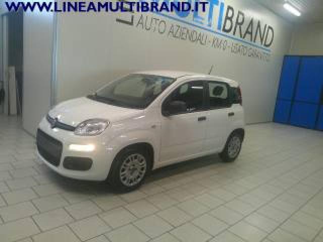 Fiat Panda 1.0 Firefly S&s Hybrid City Life Garanzia 24 Mesi 