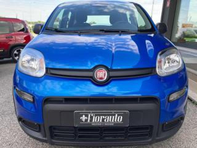 Fiat Panda 1.0 Firefly S&s Hybrid Km Zero 