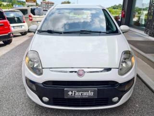 Fiat Punto Evo 1.3 Mjt 75 Cv 5 Porte Active Neopatentati 