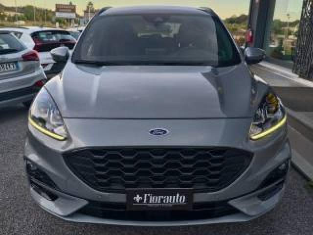Ford Kuga 1.5 Ecoblue 120 Cv 2wd St-Line 