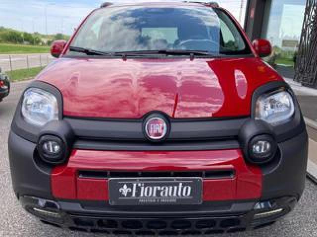 Fiat Panda 1.0 Firefly S&s Hybrid Pandina Km Zero 