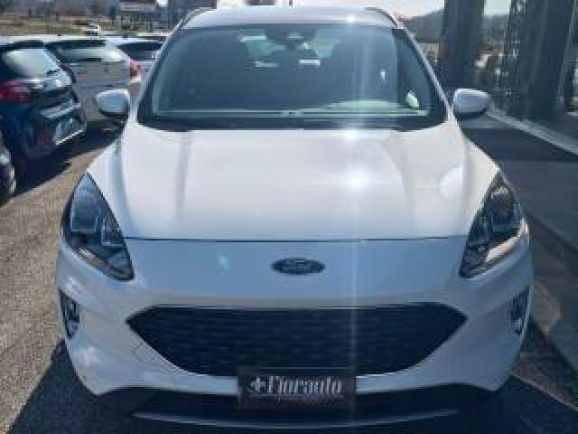 Ford Kuga 1.5 Ecoblue 120 Cv 2wd Titanium Business 